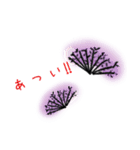 If marine life can talk to divers (JP)（個別スタンプ：24）