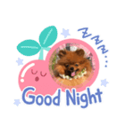 ポメラニアン！！（個別スタンプ：8）