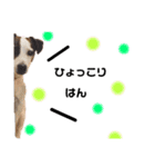 ジャックの天君②（個別スタンプ：7）