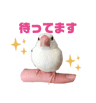 ゆるふわふみさんスタンプ（個別スタンプ：6）