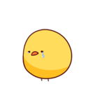 ピヨチキ 〜ひよこの日常編〜（個別スタンプ：6）