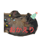 ももたろうの1日（個別スタンプ：4）