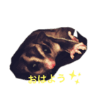 ももたろうの1日（個別スタンプ：6）