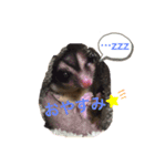 ももたろうの1日（個別スタンプ：7）