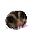 ももたろうの1日（個別スタンプ：8）