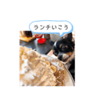 メリアちゃんのかわいいスタンプだよ（個別スタンプ：14）