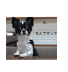 メリアちゃんのかわいいスタンプだよ（個別スタンプ：16）