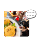 メリアちゃんのかわいいスタンプだよ（個別スタンプ：18）