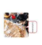 メリアちゃんのかわいいスタンプだよ（個別スタンプ：19）