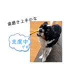 メリアちゃんのかわいいスタンプだよ（個別スタンプ：24）