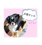 メリアちゃんのかわいいスタンプだよ（個別スタンプ：26）
