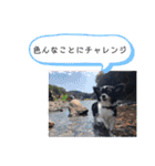 メリアちゃんのかわいいスタンプだよ（個別スタンプ：27）