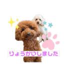 こむたん's（個別スタンプ：1）