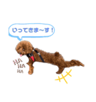 こむたん's（個別スタンプ：4）