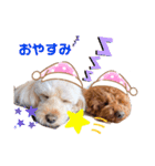 こむたん's（個別スタンプ：7）