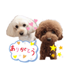 こむたん's（個別スタンプ：9）