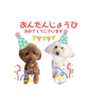 こむたん's（個別スタンプ：14）