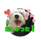 CIMA＆マロン 3（個別スタンプ：2）