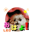 CIMA＆マロン 3（個別スタンプ：24）