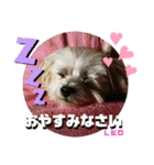 CIMA＆マロン 3（個別スタンプ：26）