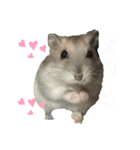 うちのはむ2（個別スタンプ：7）