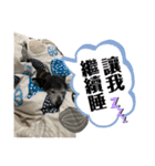 黒子ちゃんの自由な犬人生！（個別スタンプ：10）