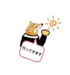 柴犬ひみこの1日（個別スタンプ：10）