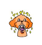 トイプゥ3（個別スタンプ：1）
