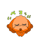 トイプゥ3（個別スタンプ：8）
