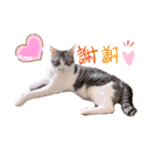 ひなルナ（個別スタンプ：6）