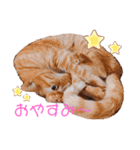 ひなルナ（個別スタンプ：18）