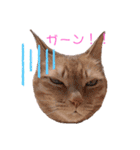 ひなルナ（個別スタンプ：22）