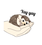 動物たちと人間のEnglishセカンドスタンプ（個別スタンプ：12）