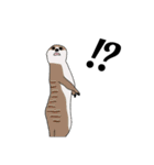 動物たちと人間のEnglishセカンドスタンプ（個別スタンプ：14）