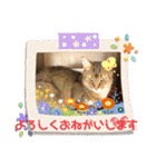カーチャ大好き大好きカーチャ（個別スタンプ：2）