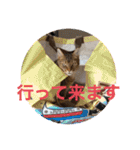 カーチャ大好き大好きカーチャ（個別スタンプ：9）