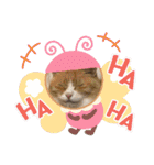 カーチャ大好き大好きカーチャ（個別スタンプ：13）