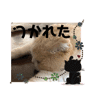 カーチャ大好き大好きカーチャ（個別スタンプ：14）