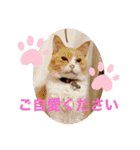 カーチャ大好き大好きカーチャ（個別スタンプ：23）