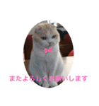 カーチャ大好き大好きカーチャ（個別スタンプ：25）