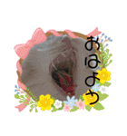 カーチャ大好き大好きカーチャ（個別スタンプ：37）