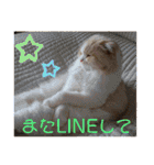 カーチャ大好き大好きカーチャ（個別スタンプ：39）