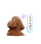 トイプーネネ（個別スタンプ：6）