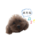 トイプーネネ（個別スタンプ：8）