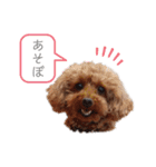 トイプーネネ（個別スタンプ：9）