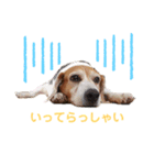 いち0929（個別スタンプ：2）