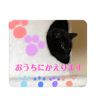 くろちゃんしょうたシリーズ（個別スタンプ：5）