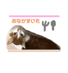 くろちゃんしょうたシリーズ（個別スタンプ：8）