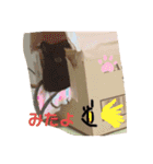 くろちゃんしょうたシリーズ（個別スタンプ：17）