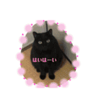 くろちゃんしょうたシリーズ（個別スタンプ：18）